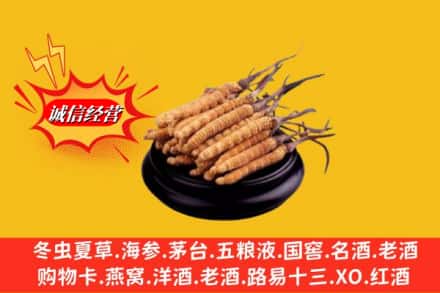 衡阳衡东县高价上门回收虫草多少钱每克